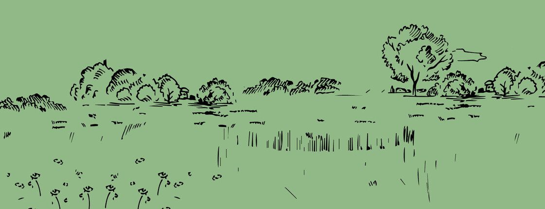 Gezeichnete Wiese mit Bäumen, Sträuchern, Blumen und Wolken. Zeichnung ist in schwarz auf grünem Hintergrund