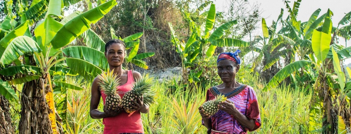 Zwei Frauen in traditioneller Kleidung stehen in einem tropischen Anbaugebiet in der DR Kongo und halten Ananas. Das Bild zeigt die Rolle von Frauen in der landwirtschaftlichen Entwicklung im Rahmen des RECAPTER-Projekts.
