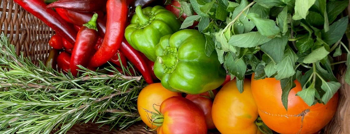 Paprika, Paradeiser und Kräuter