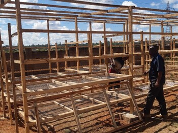 Mehrere Personen arbeiten an einer großen Holzkonstruktion mit Trockengestellen im Freien.