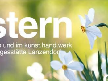Weiß-gelbe Narzissen blühen prächtig auf einer grünen Wiese. Auf dem Foto ist der Text "Ostern im Kaffeehaus und im kunst.hand.werk der Caritas Tagesstätte Lanzendorf. Einladung 2023" zu lesen.