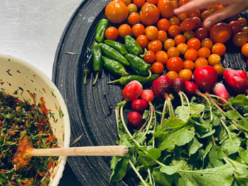 Caritas Foodstories bei der Langen Nacht der Forschung