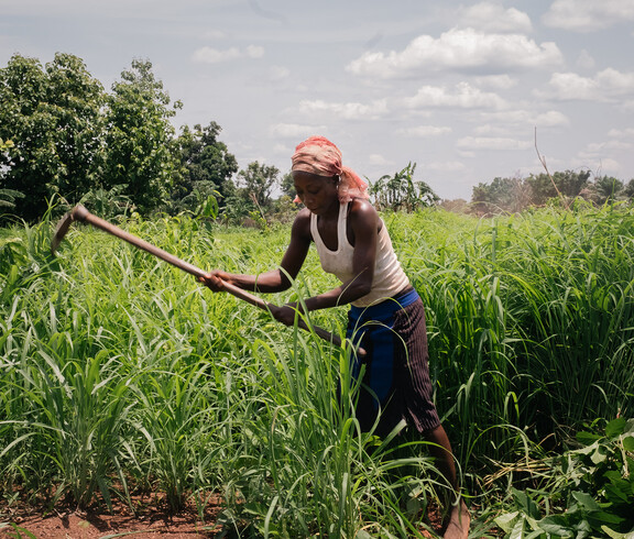 Landwirt*in hackt Unkraut auf grünem Feld unter freiem Himmel im Südsudan