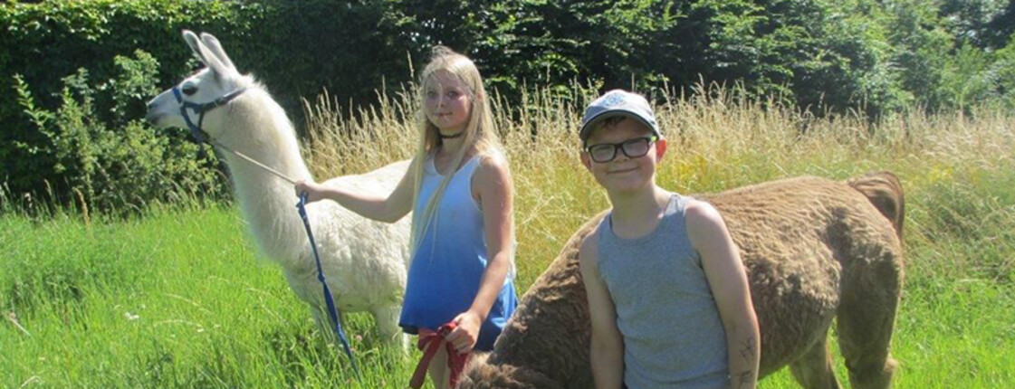 Urlaub und Hospiz im Schloss Großrußbach mit Lamawanderung