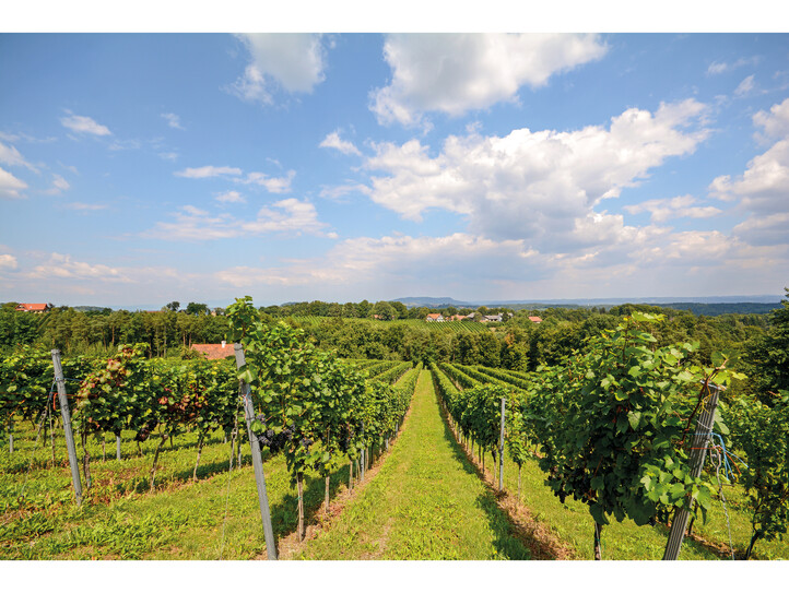 Wohnen Weinviertel